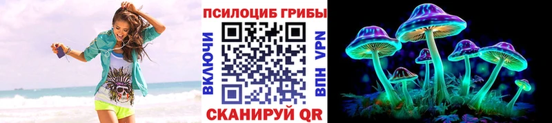 Псилоцибиновые грибы GOLDEN TEACHER  Воронеж 