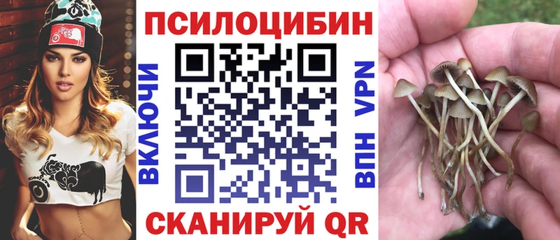 Псилоцибиновые грибы Psilocybine cubensis Воронеж