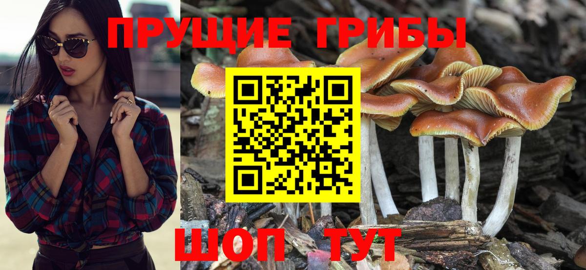 Псилоцибиновые грибы ЛСД  Вход с VPN  Воронеж  Псилоцибиновые грибы ЛСД 