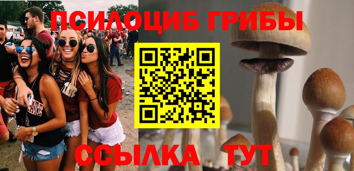 Псилоцибиновые грибы прущие грибы Воронеж