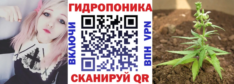 закладки Воронеж Бошки Шишки планчик